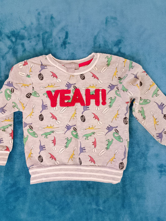 Hanorac gri cu dinozauri și mesajul "YEAH!" - stil plin de energie! 12-24 luni.